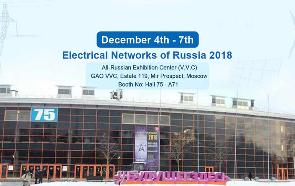 Electrical Networks of Russia