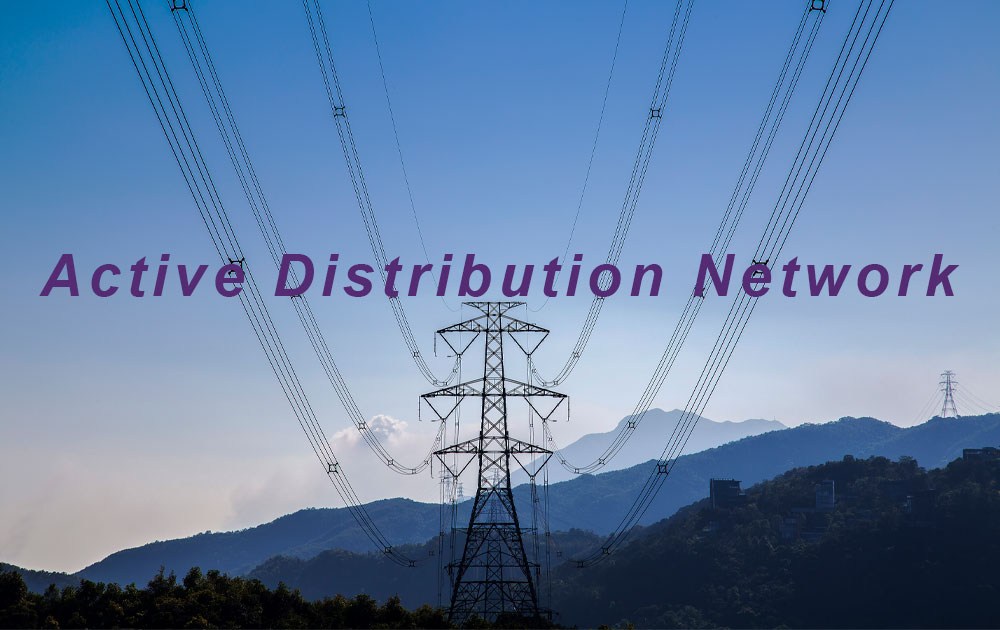 Active Distribution Network