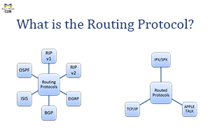 What is the Routing Protocol?